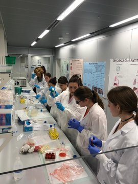  Laborteam untersucht Proben unter Licht